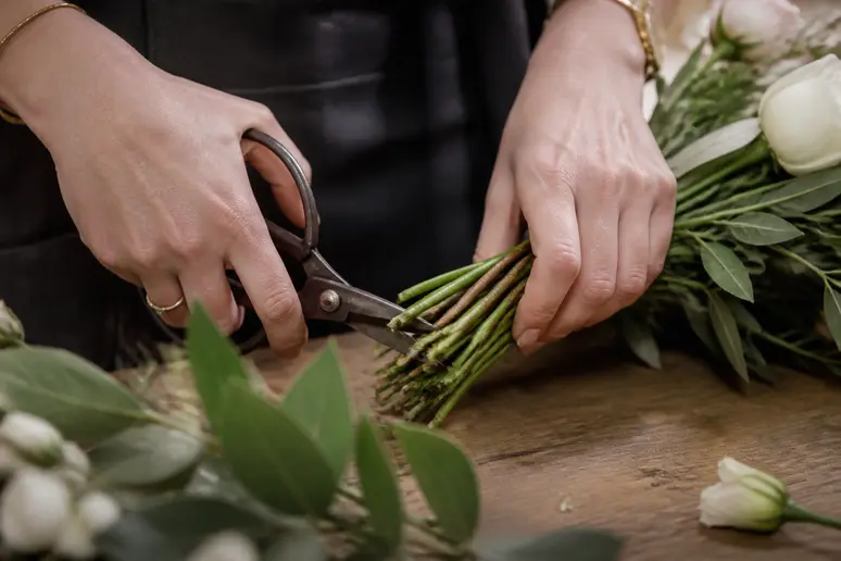 Mains coupant des tiges de fleurs en biseau avec des ciseaux pour le bouquet de mariée